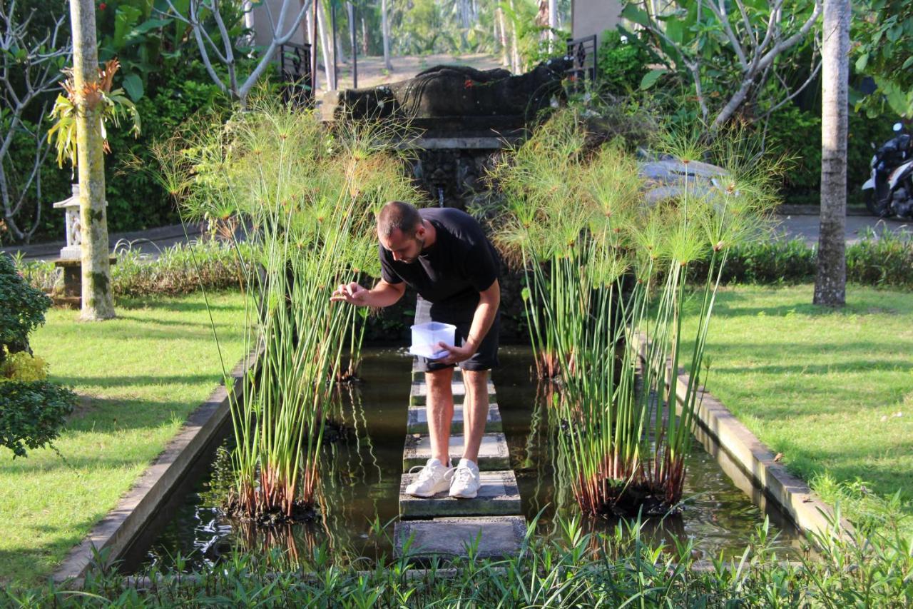 Bali Hai Island Resort Pekutatan  Zewnętrze zdjęcie